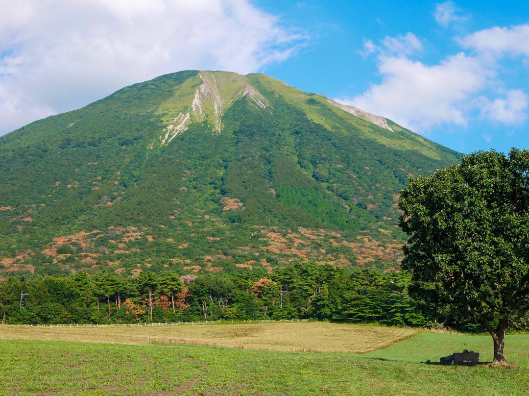 Daisen Makiba Milk no Sato景点图片