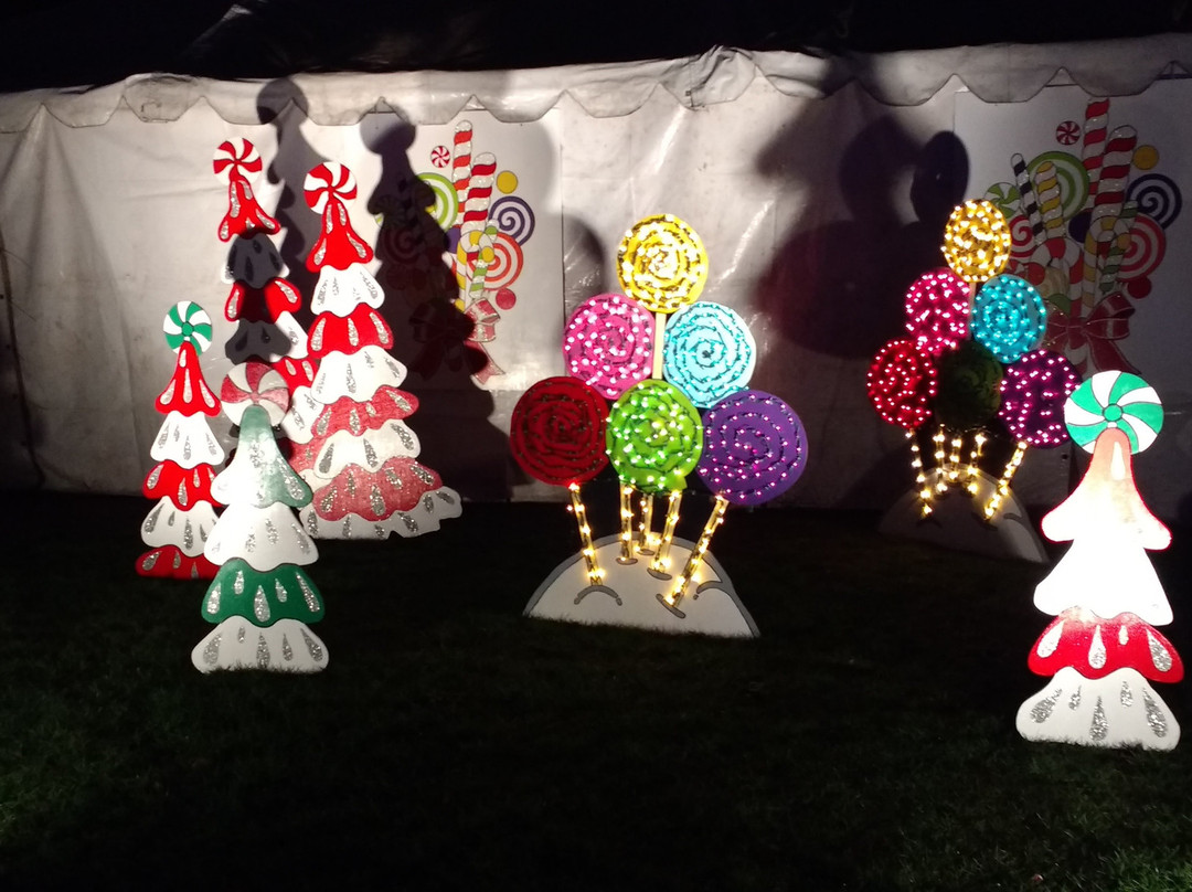 The Lights of Christmas-Stanwood必去景点