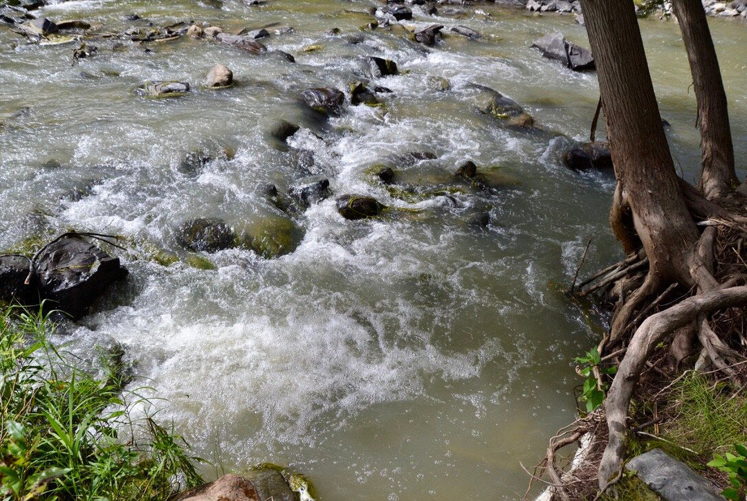 Pete's Dam Trail-Temiskaming Shores必去景点