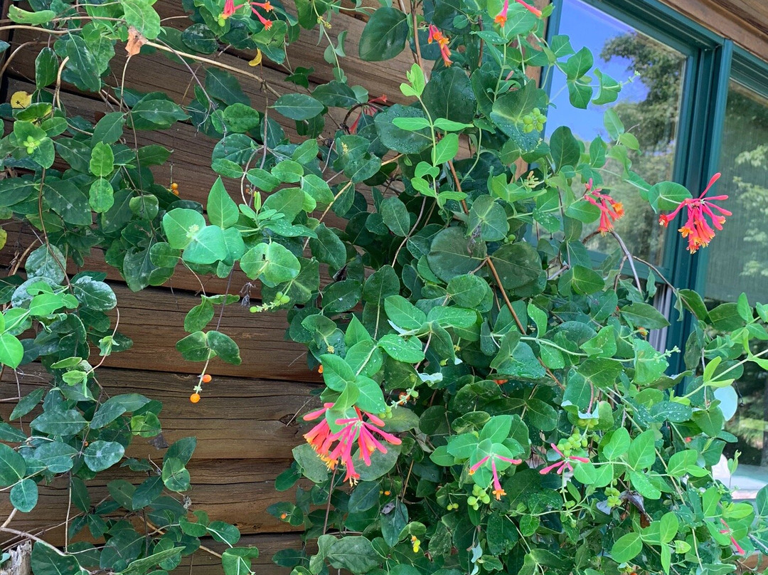 Chatfield Hollow Inn主图