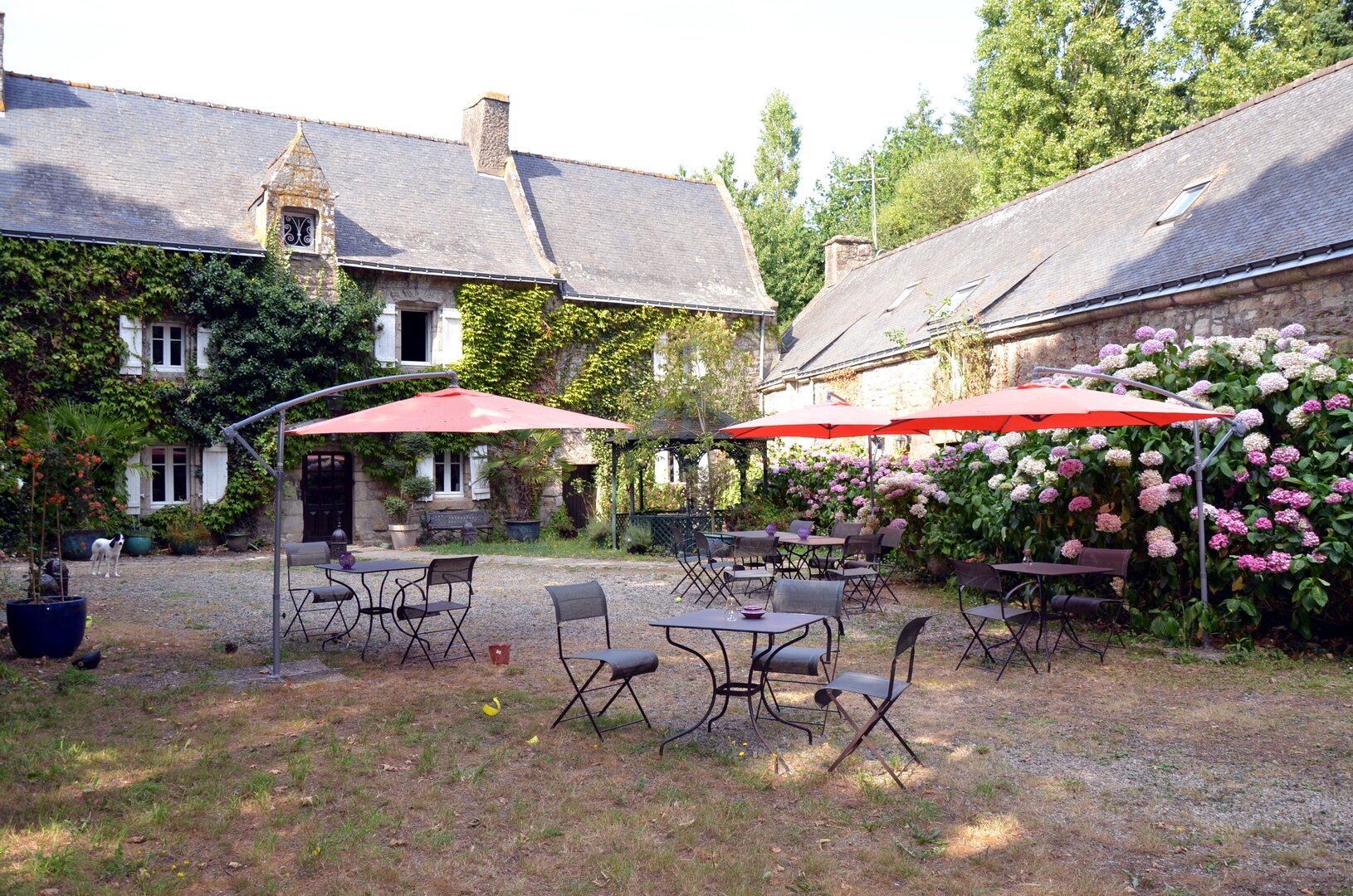Le Manoir de Bodrevan-家庭/游戏区