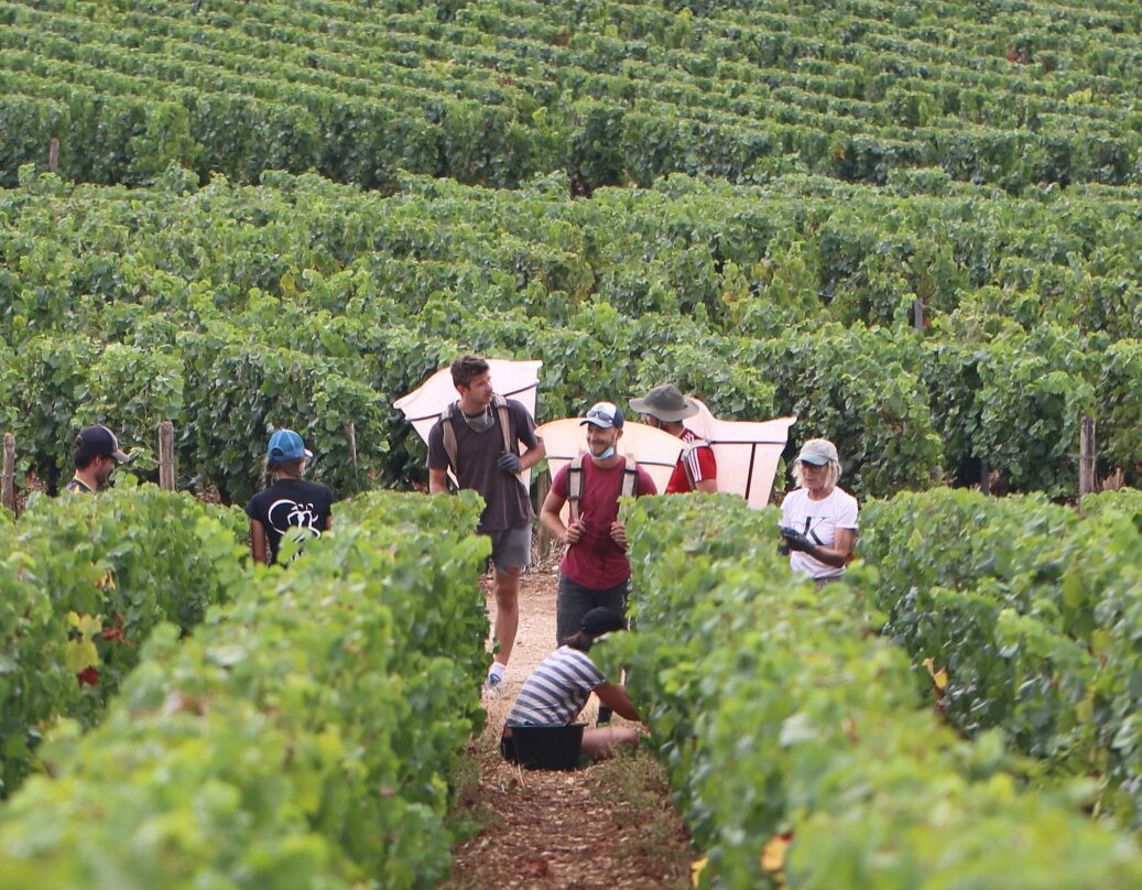 Domaine Francois Lumpp景点图片