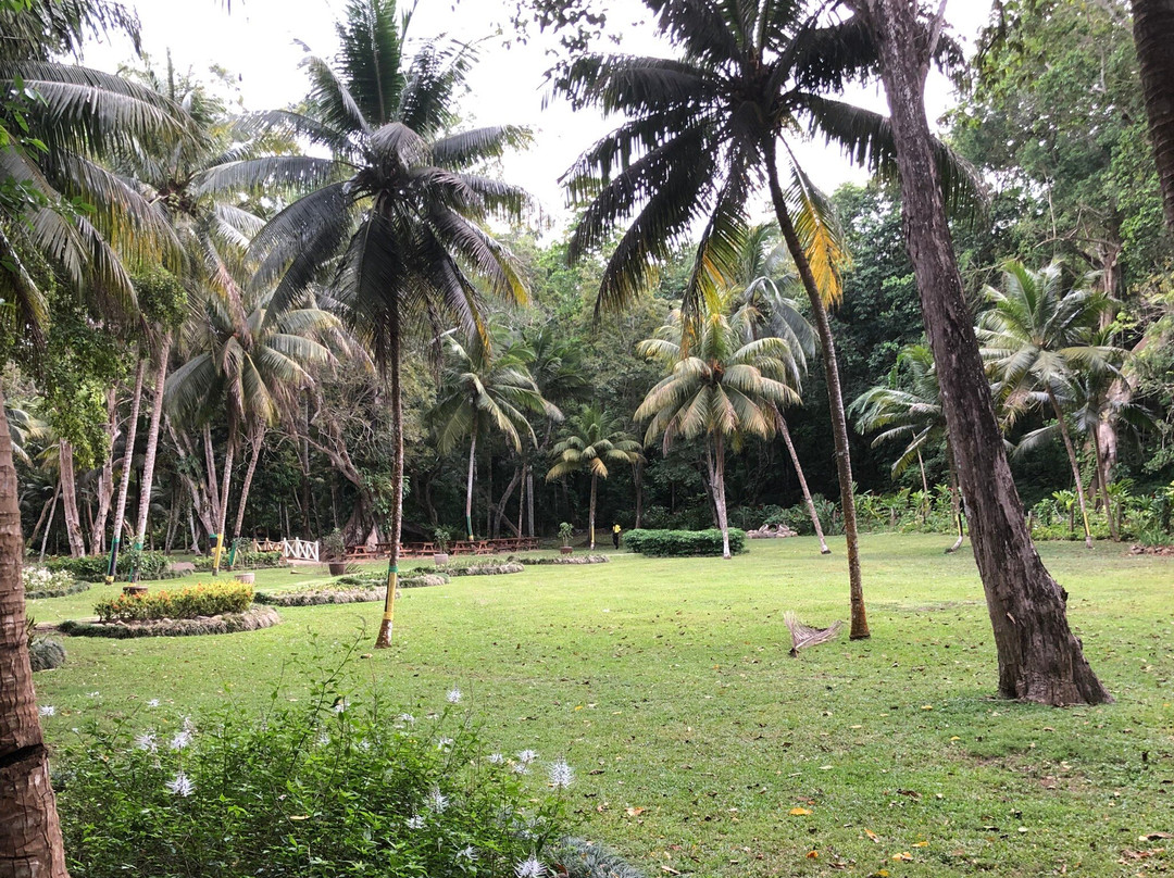 Grand Jamaica and Dunns River Falls Tour-法尔茅斯必去景点