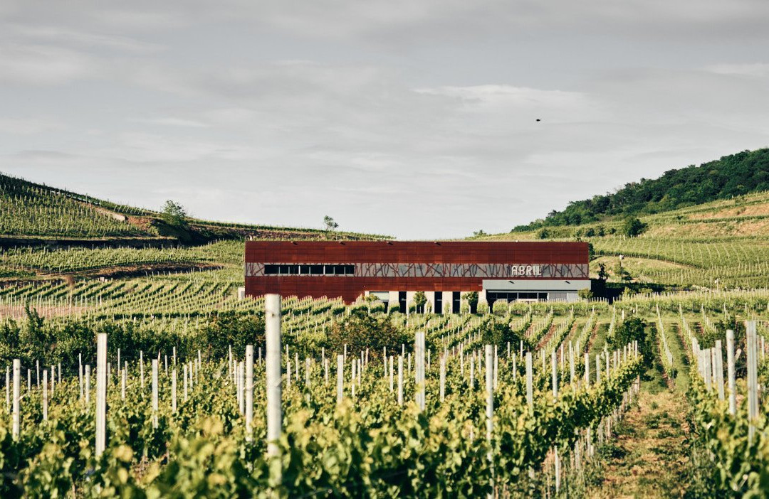 Weingut Abril景点图片