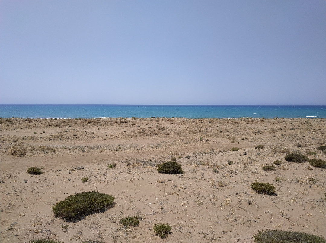 Naked Beach Kaiafas-Zacharo必去景点
