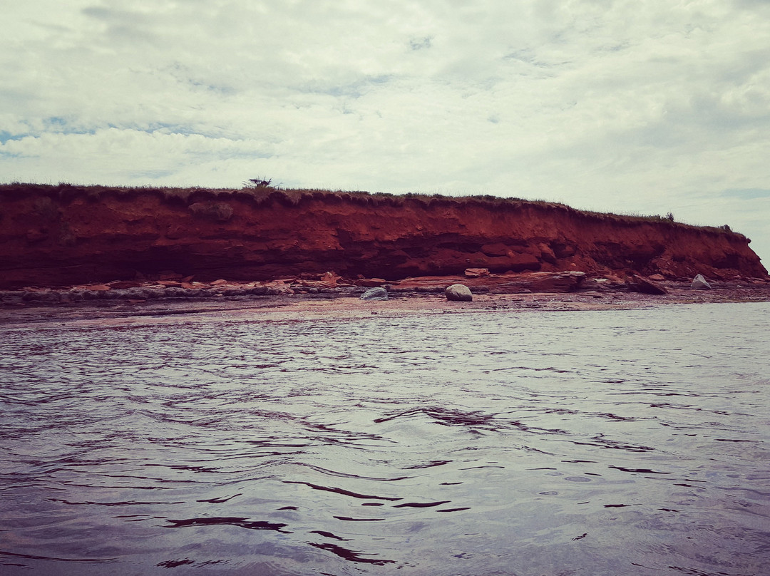 Malpeque Bay Kayak Tours景点图片