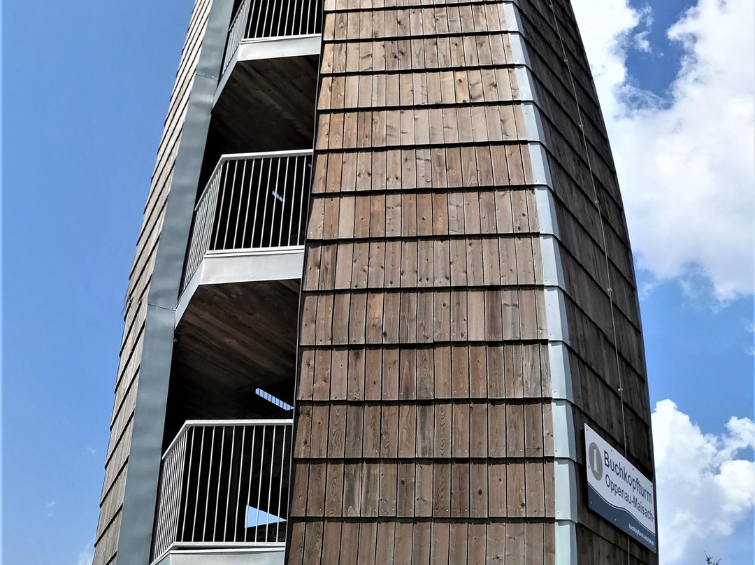Buchkopfturm Oppenau景点图片