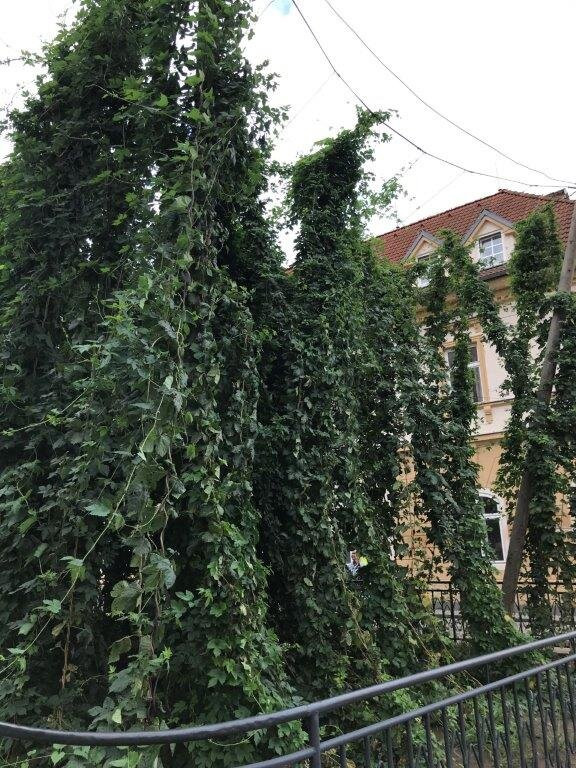Chmelnička-Zatec必去景点