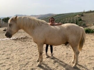 Cortijo el Chenil Caballos景点图片