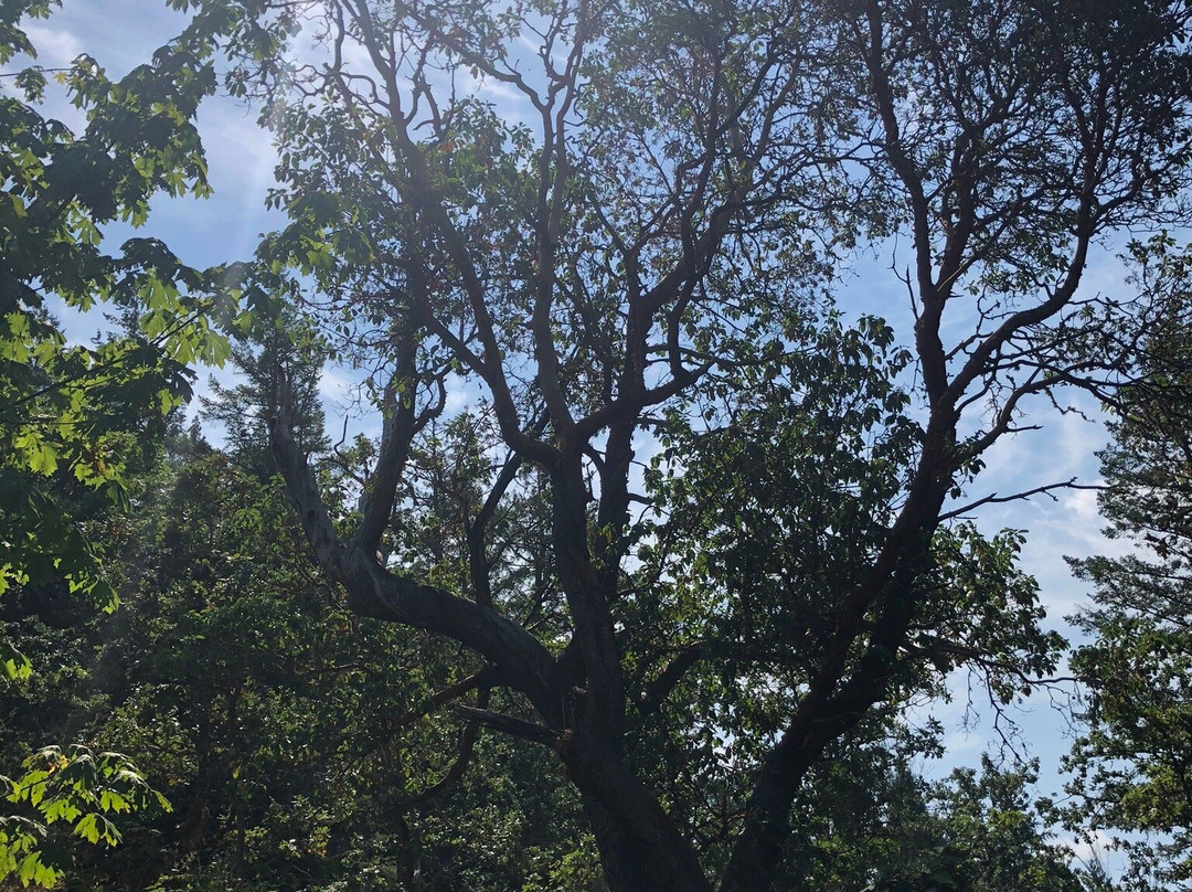Oak Haven Park-中萨尼奇必去景点