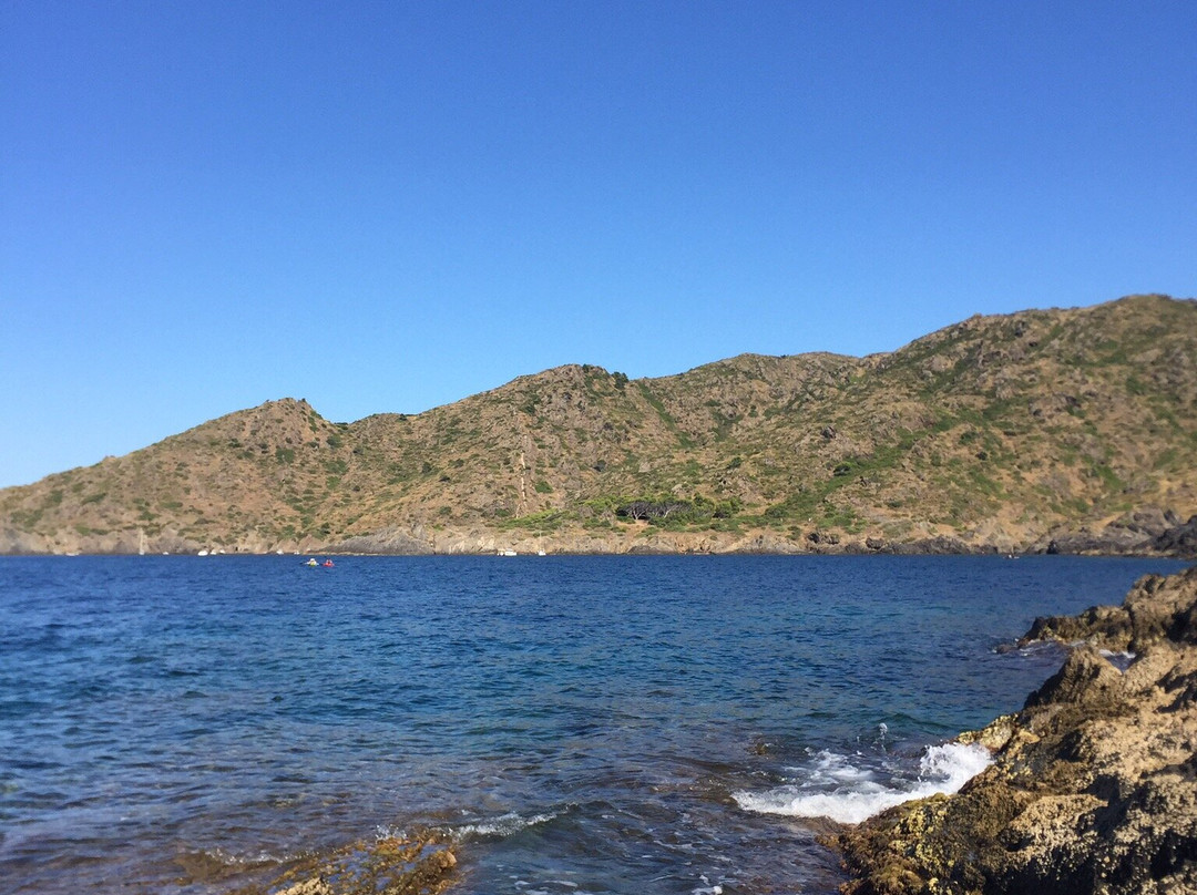Cala Tamariua景点图片