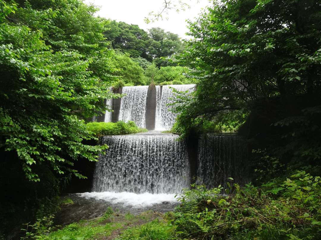 Kitanizawa Stream景点图片
