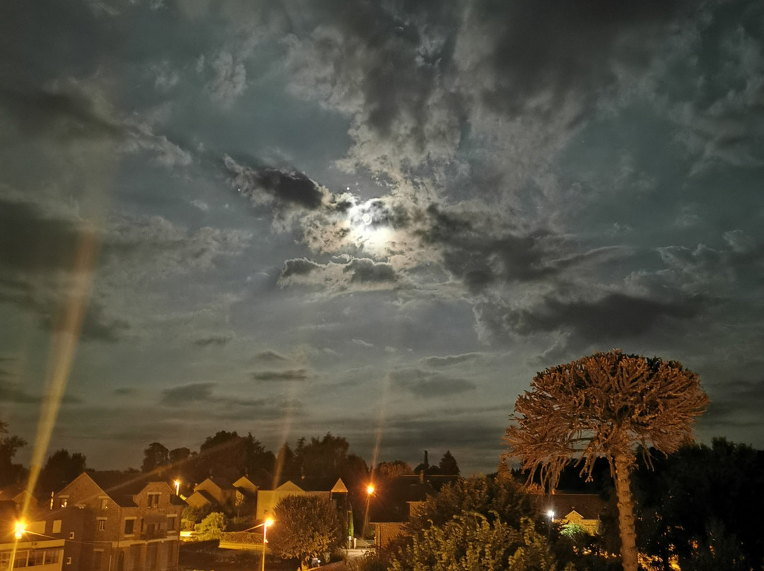 La Belle Epoque主图