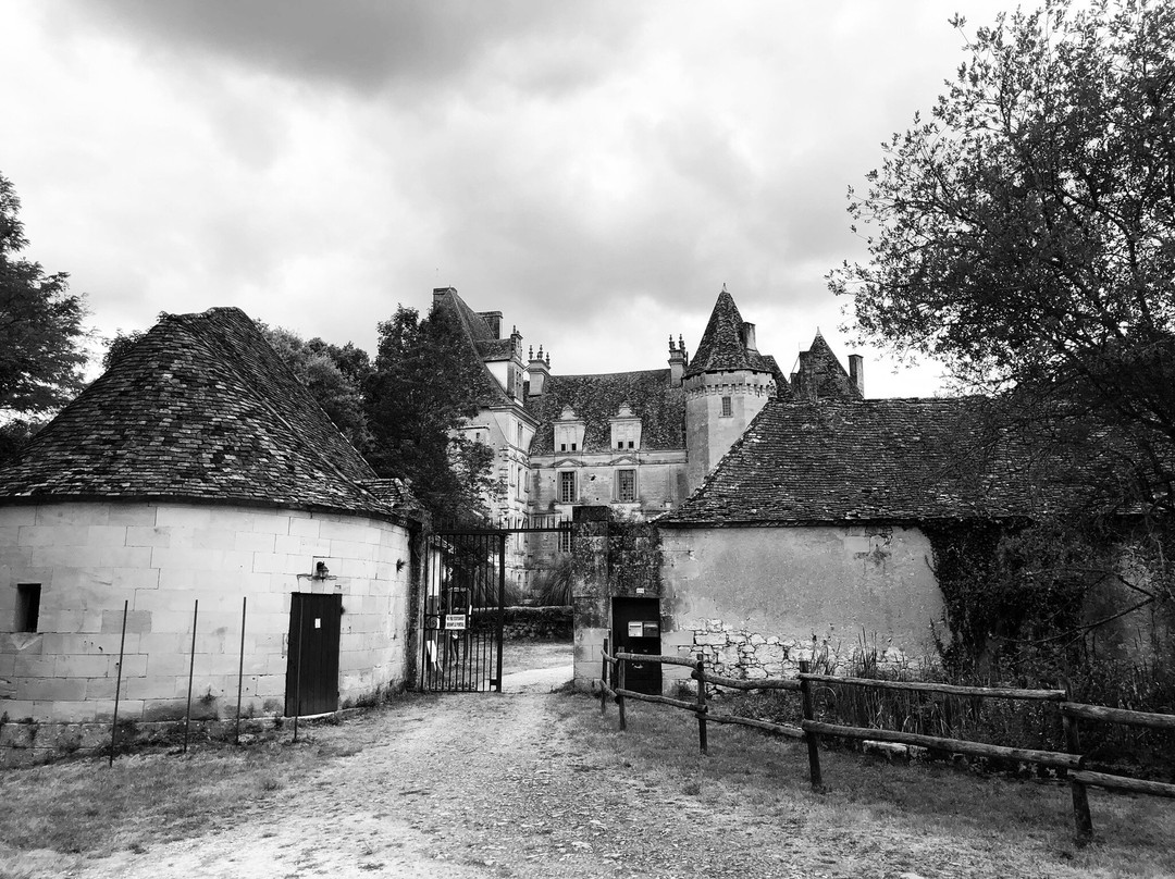 Chateau de Lanquais景点图片