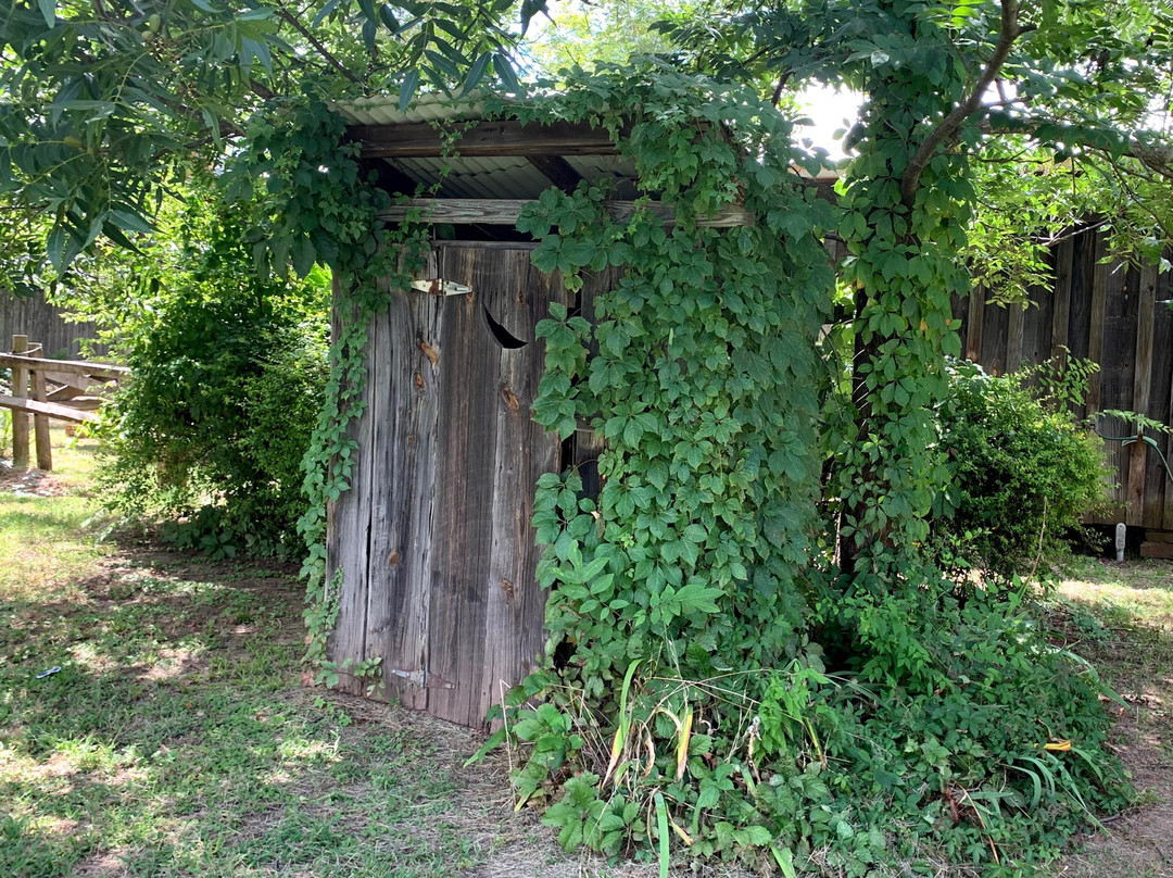 Northeast Texas Rural Heritage Museum-Pittsburg必去景点