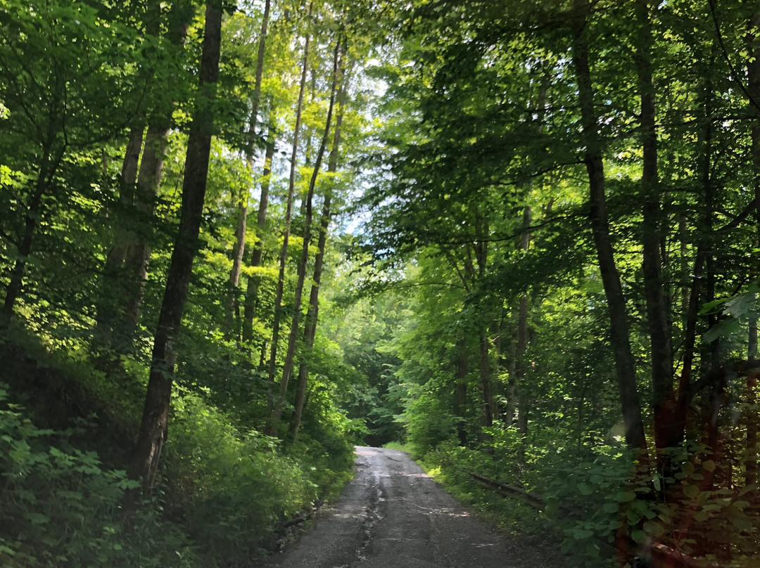 Nuttallburg Mine Site-Winona必去景点