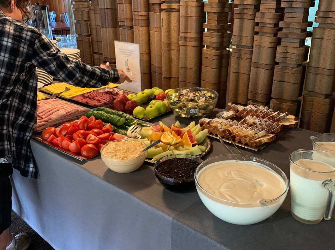 Horsky Hotel Zizkova Bouda主图
