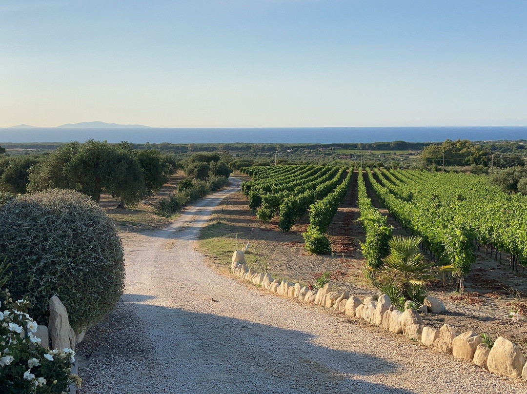 Serra Niedda Resort & Agriturismo主图