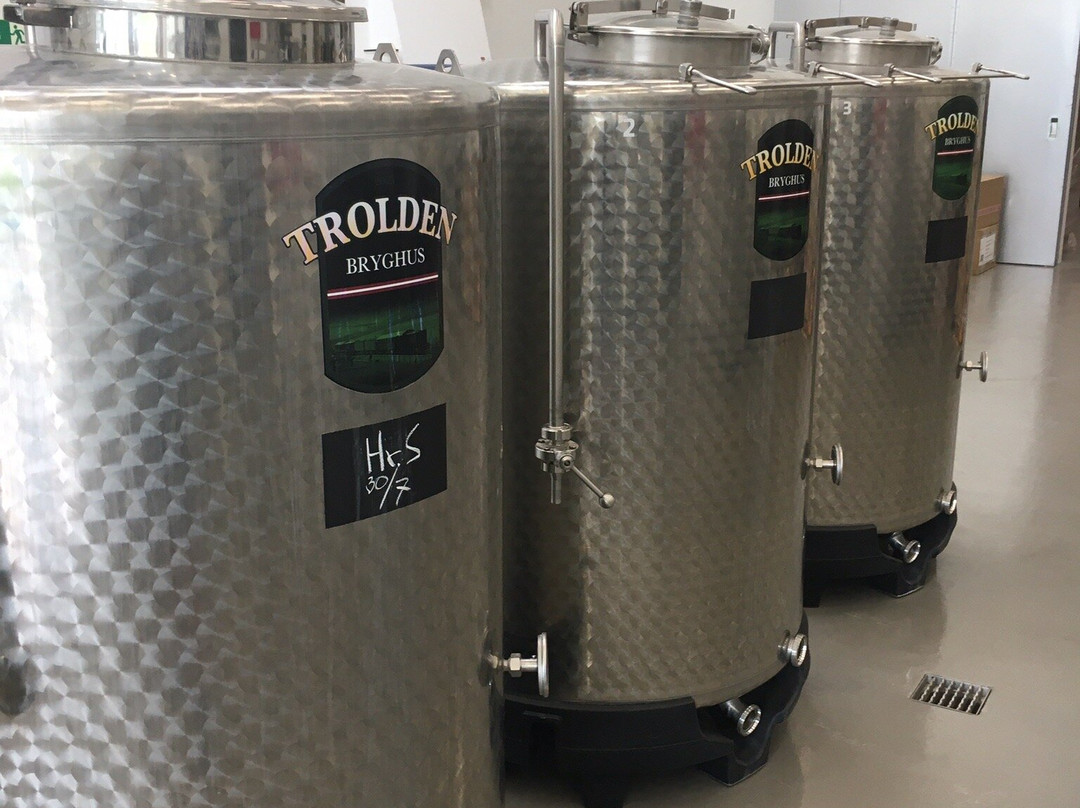 Trolden Bryghus-科灵必去景点