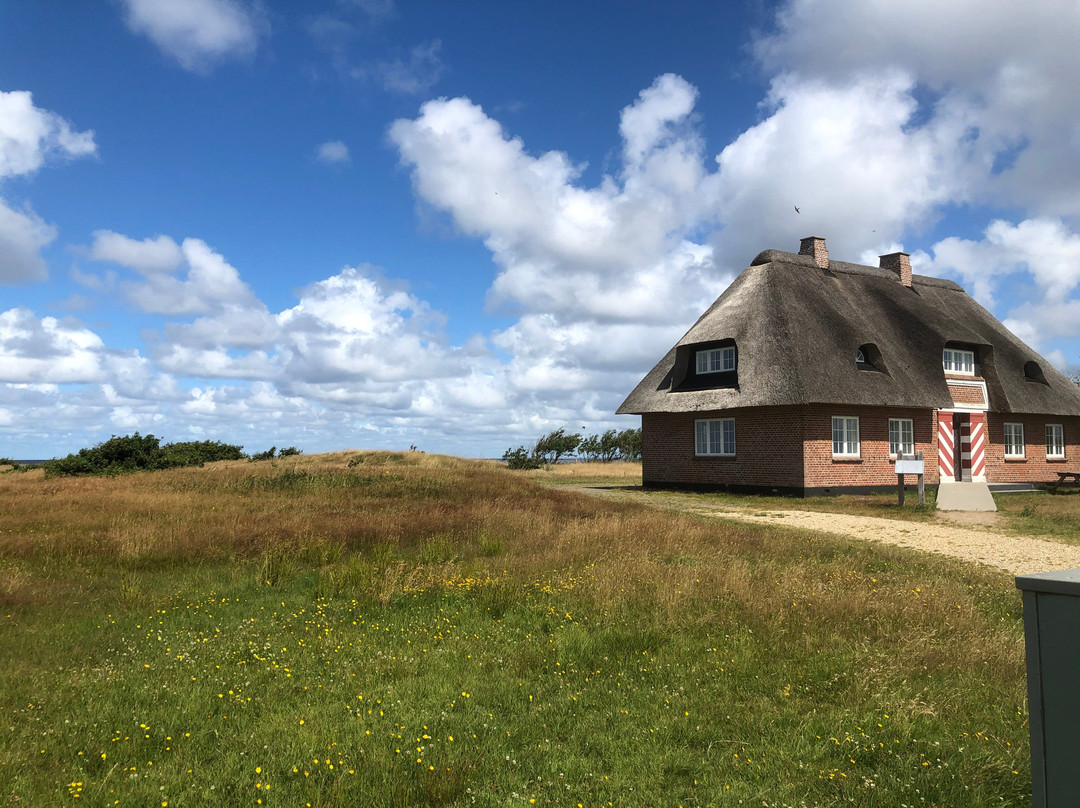 Tipperne Bird Sanctuary-灵克宾必去景点