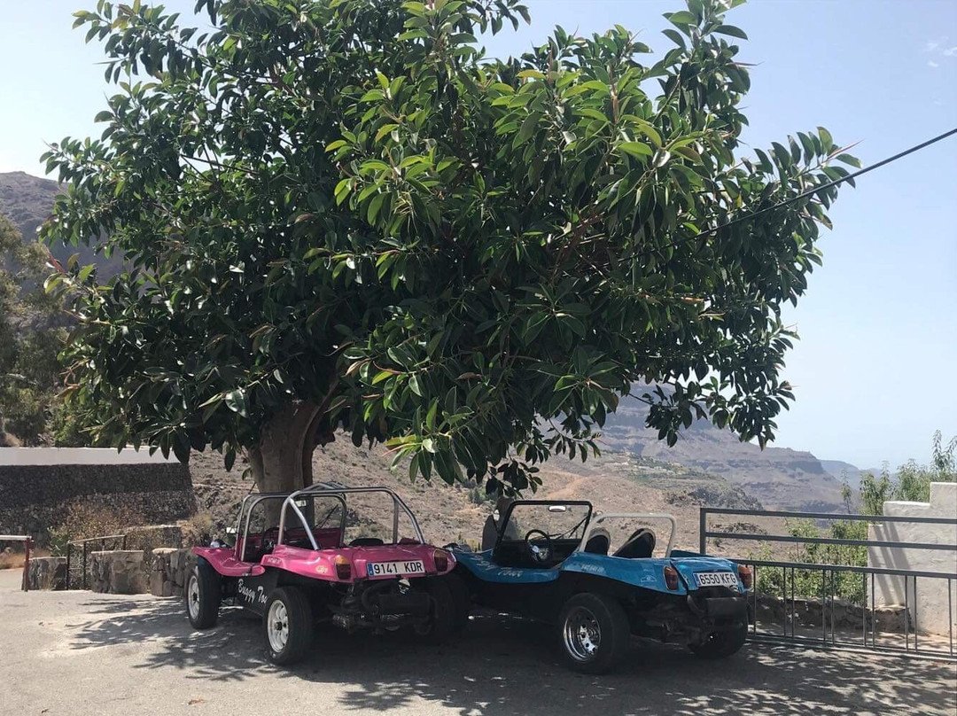 70'sbuggy景点图片