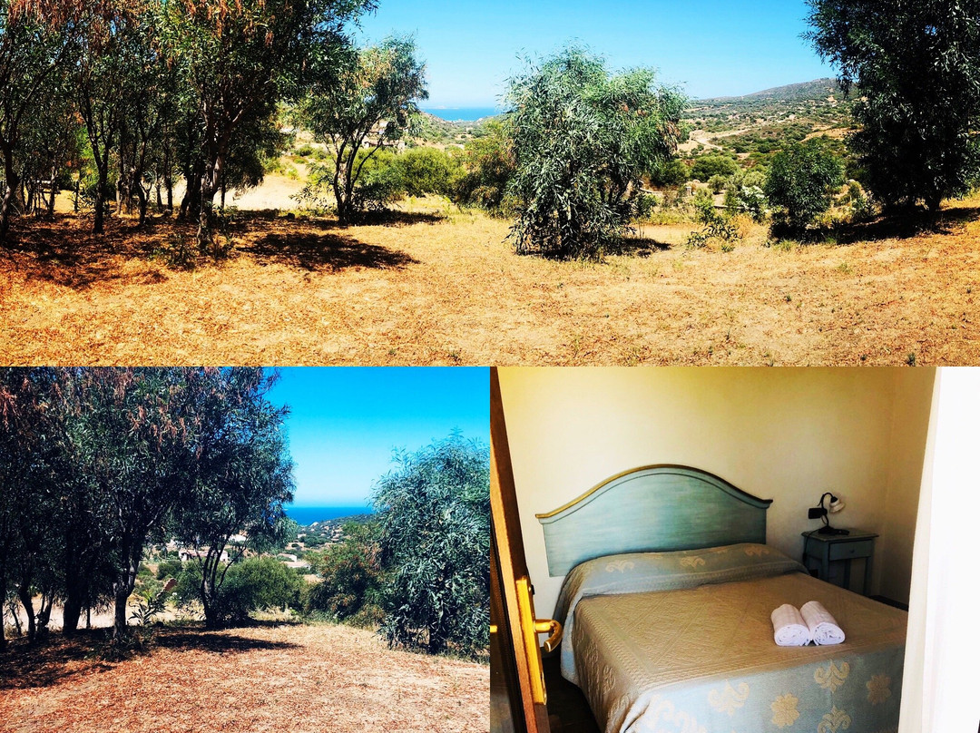 Borgo Alba Barona主图