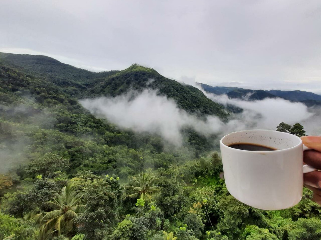 Serenity Panchalimedu主图