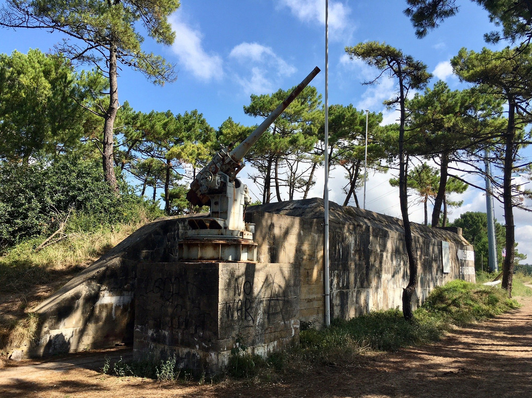 Site du Bégo景点图片