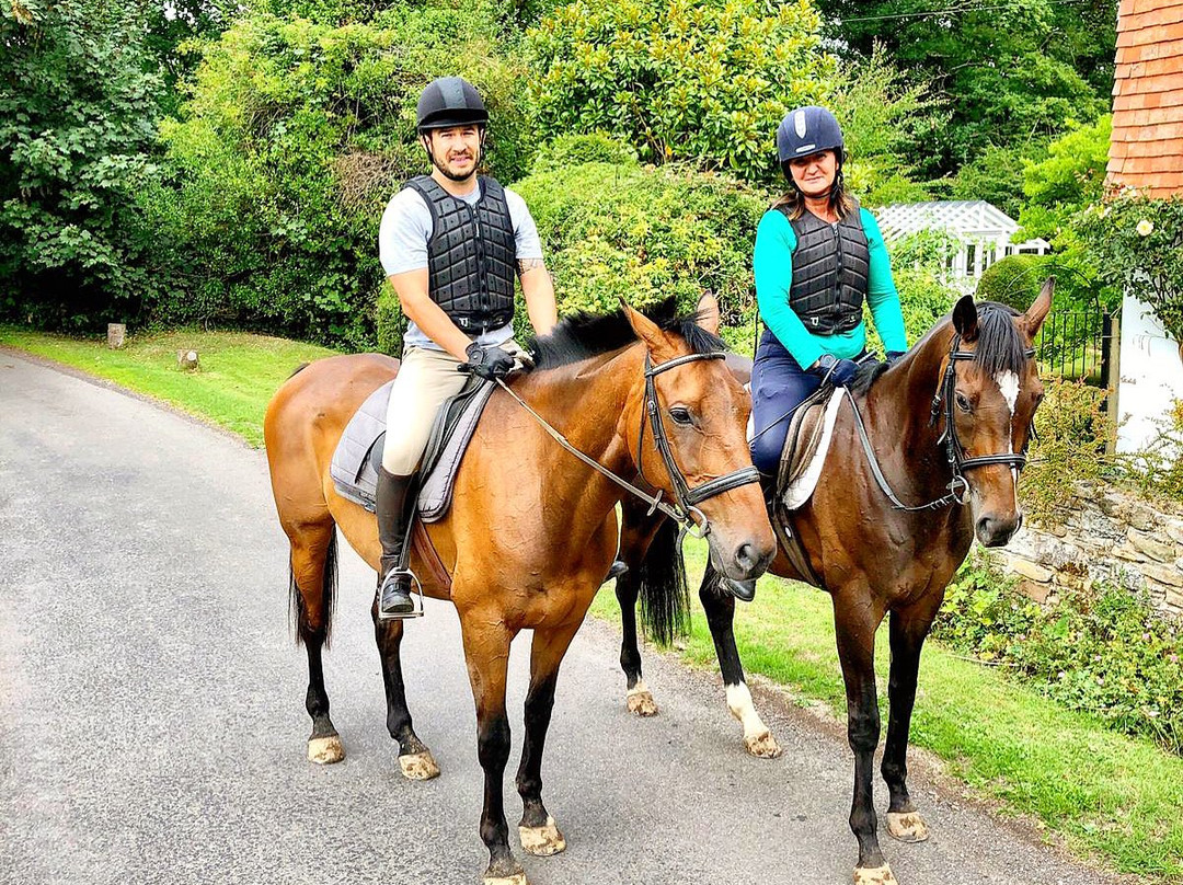 Horse Riding Surrey景点图片