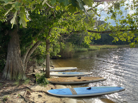Green Fin Paddle Company-德斯廷必去景点