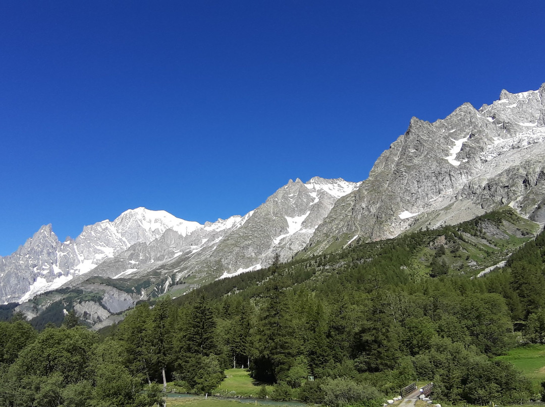 Golf Club Courmayeur et Grandes Jorasses-库马约尔必去景点