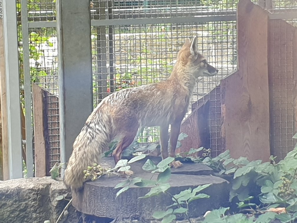 Tierpark Senftenberg-Senftenberg必去景点