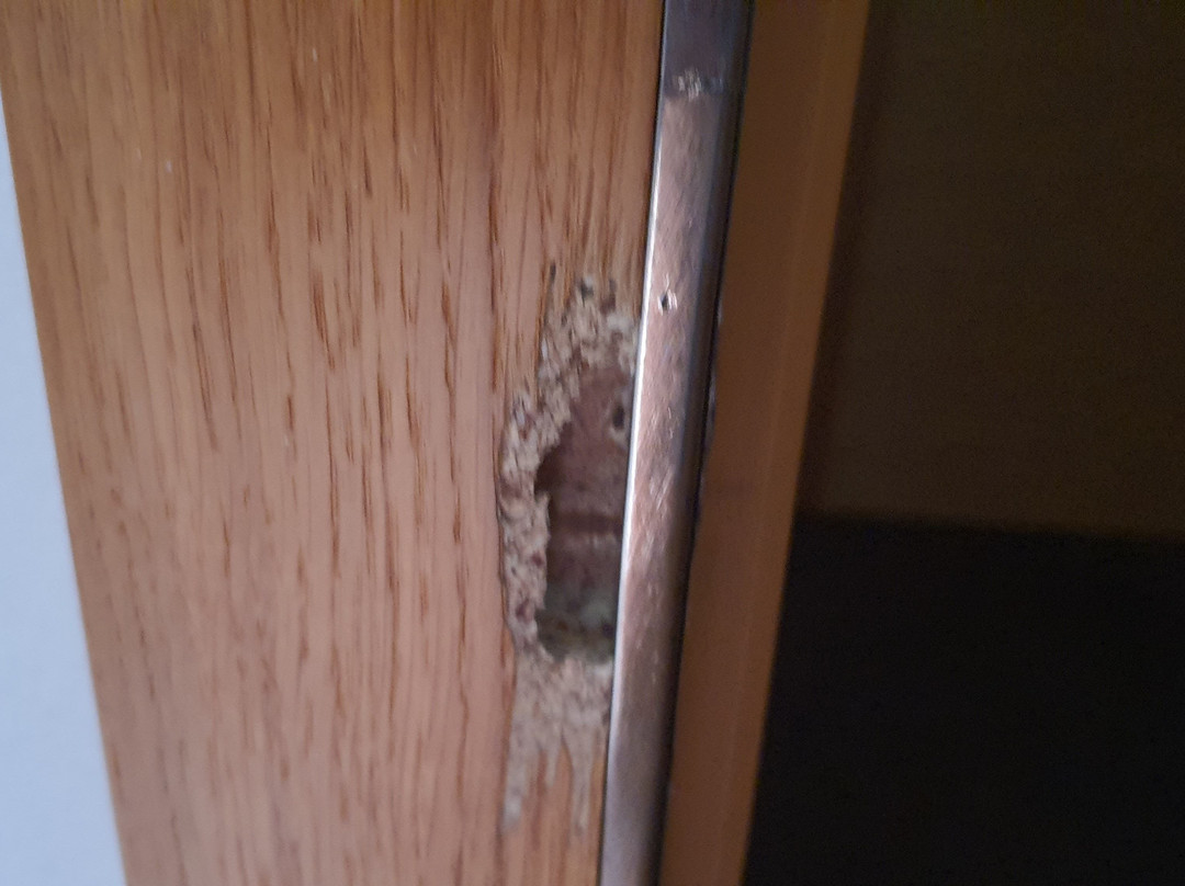 Hotel Skalny Spa主图