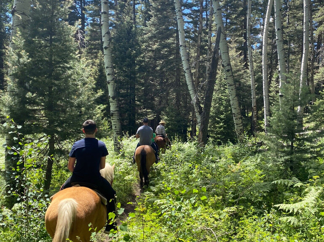 Elk Heart Outfitters-帕戈萨斯普林斯必去景点