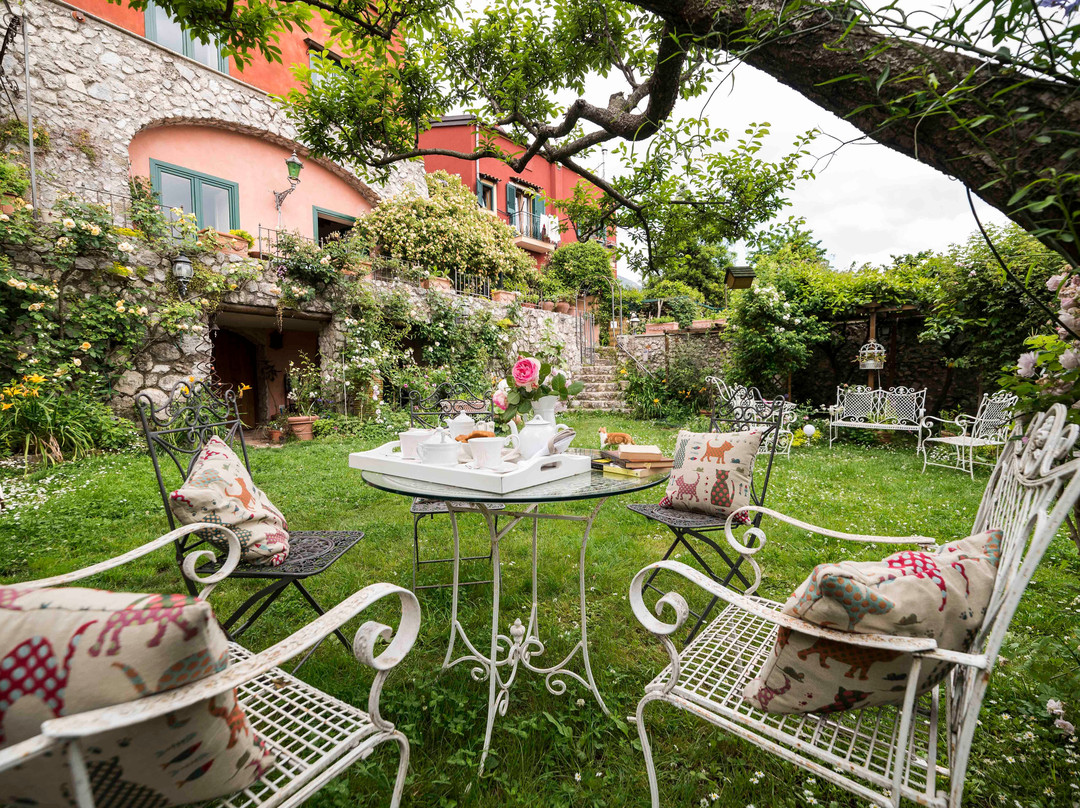 B&B Gattacicova主图