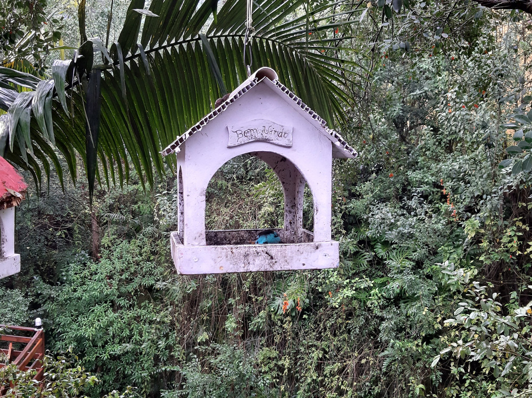 Hotel Caldas Da Imperatriz主图