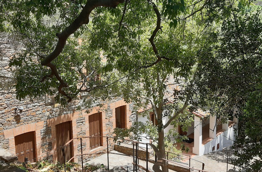 Musée Aristide Maillol景点图片