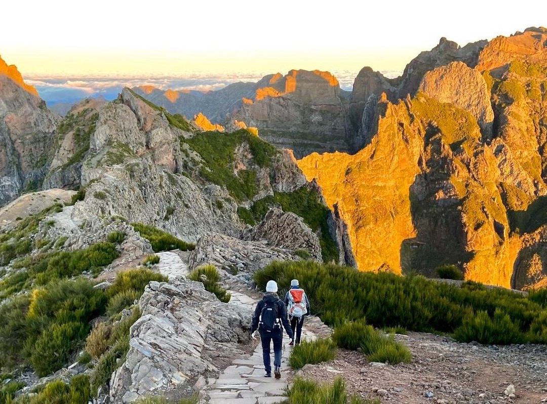 Pico Transfers-沙尔必去景点