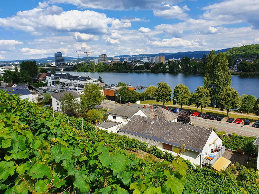 Weingut Schwaab-科布伦茨必去景点