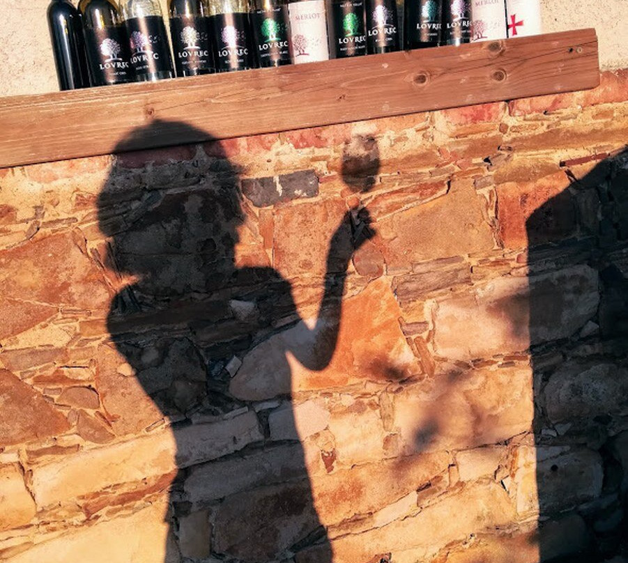 Vino Lovrec: organic winery景点图片