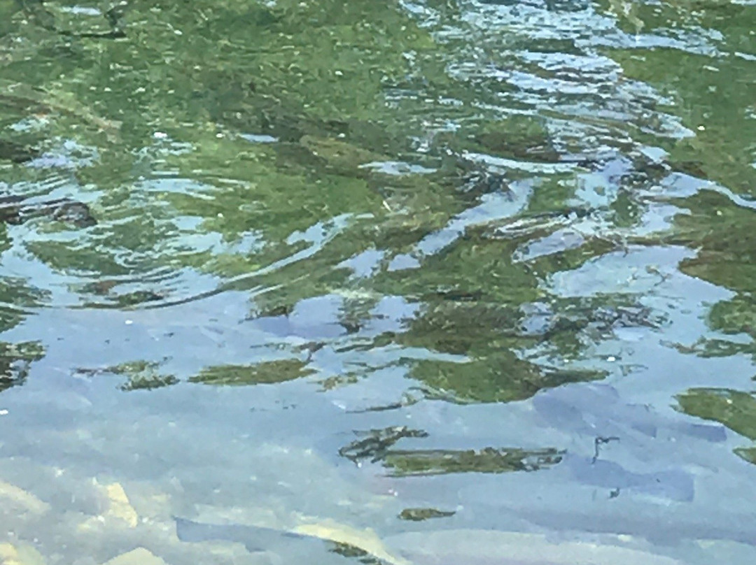 Castalia State Fish Hatchery-Castalia必去景点