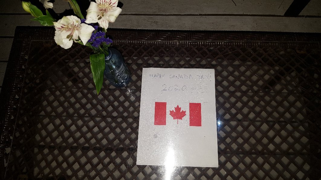 Pine Dale Motor Inn主图