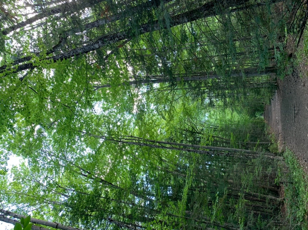 Franconia Falls-林肯必去景点