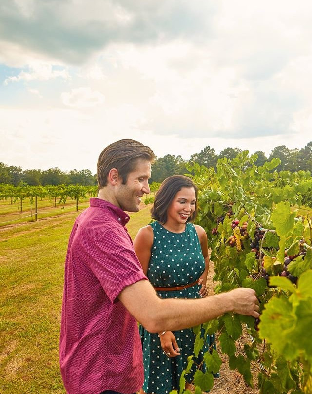 Wolf Creek Plantation Winery-Americus必去景点