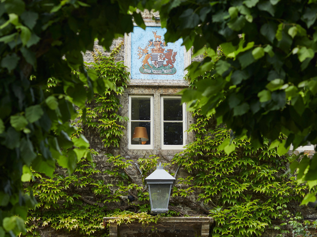 Maiden Bradley旅游攻略图片