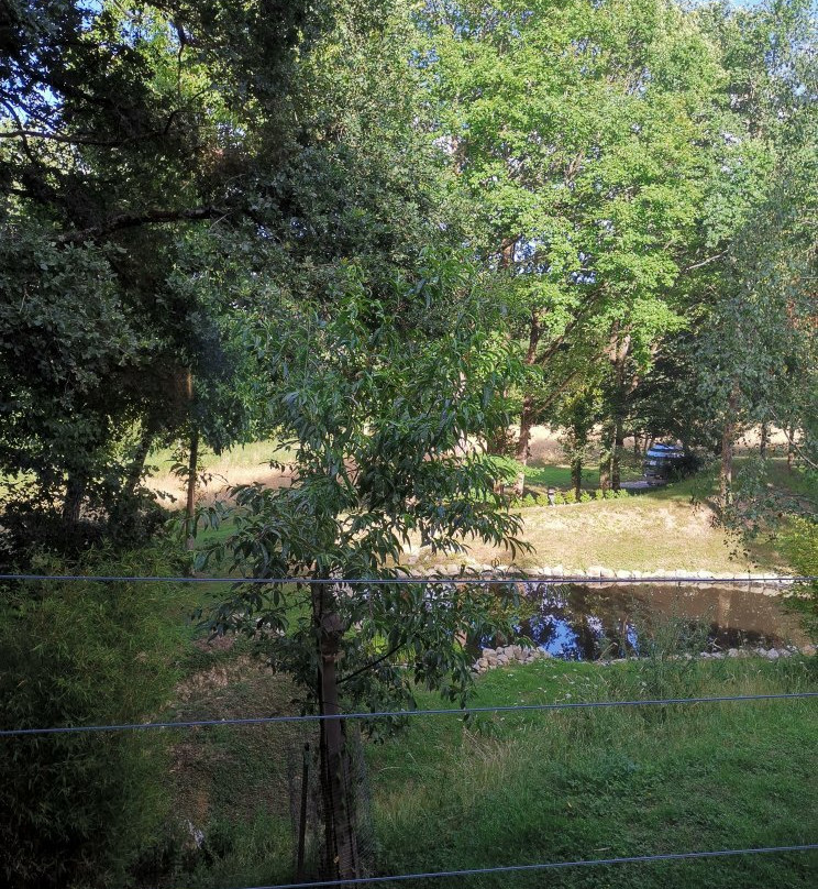 D'une Autre Nature主图