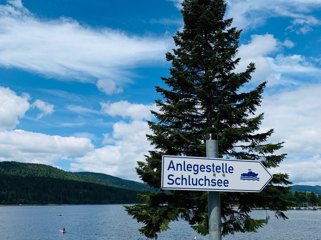 Schluchsee Rundfahrten景点图片