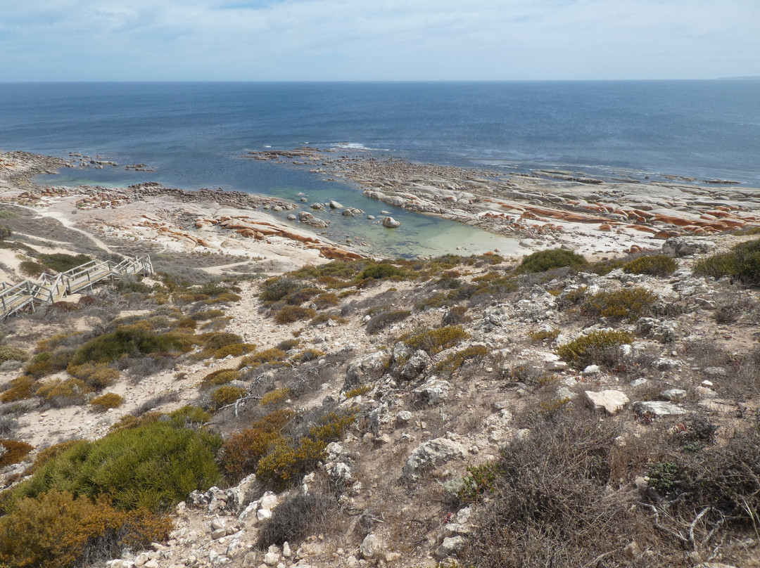 Westall Way Loop Coastal Scenic Drive-Streaky Bay必去景点