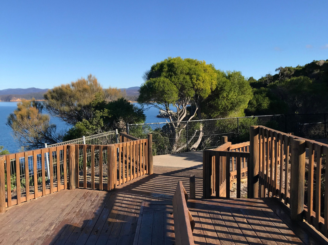 Eden Lookout and Rotary Park景点图片
