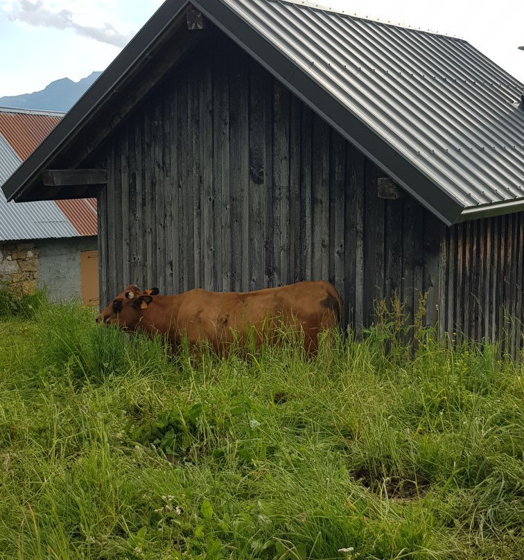 Le Colombier-Aillon-le-Jeune必去景点